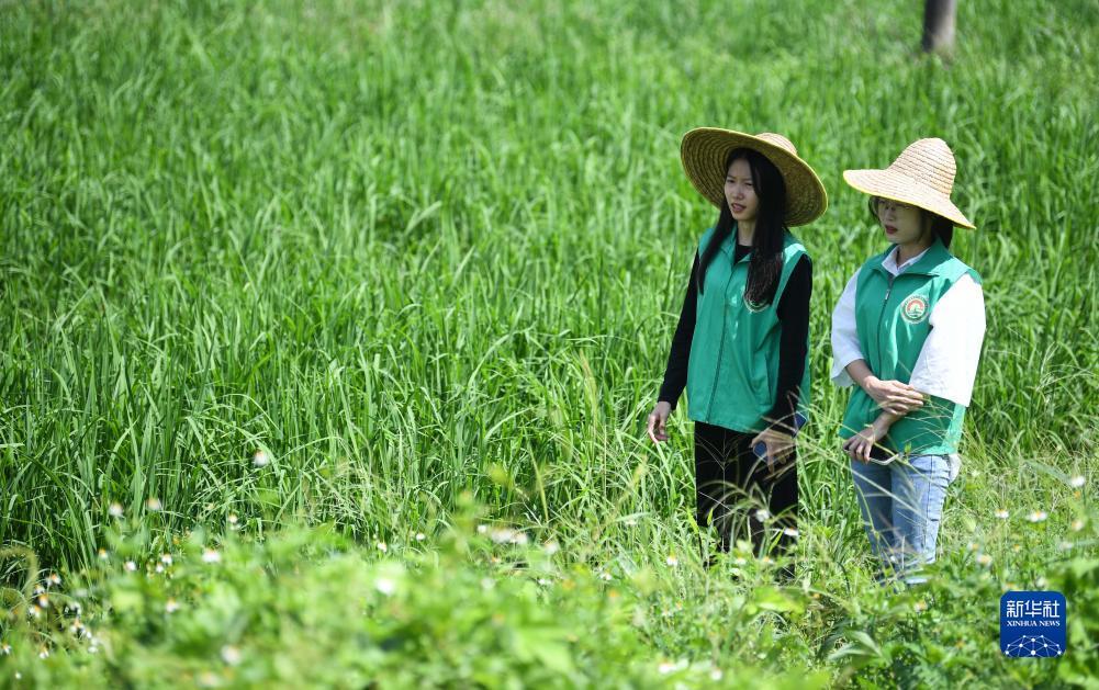 开户注册白菜大全